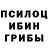 Галлюциногенные грибы Psilocybine cubensis Lucas Ava