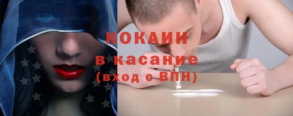соль ск Алзамай