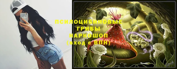 дурь Алексеевка