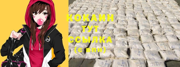соль ск Алзамай