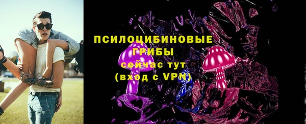 дурь Алексеевка