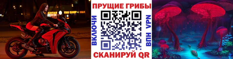 Галлюциногенные грибы Psilocybine cubensis Владимир
