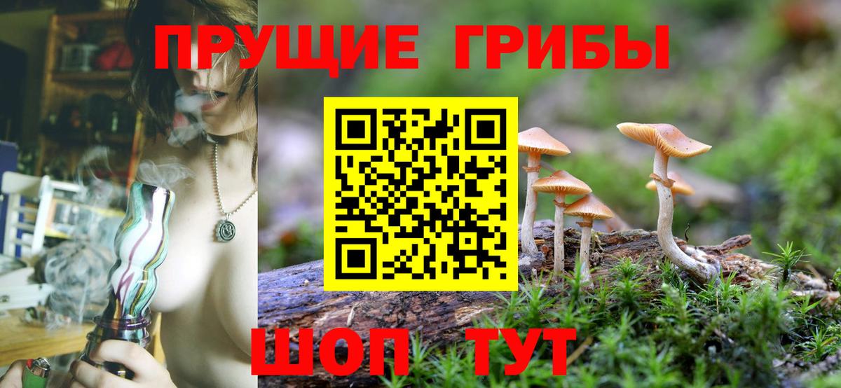 Галлюциногенные грибы ЛСД  Галлюциногенные грибы Cubensis  Вход с VPN  Владимир 